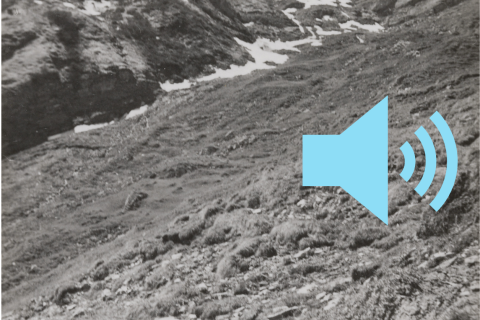 Schwarz weiss Foto: Blick auf eine Bergflanke. Gras und Steine wechseln sich ab. Im Hintergrund liegt Schnee.