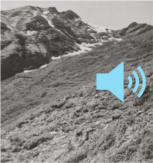 Schwarz weiss Foto: Blick auf eine Bergflanke. Gras und Steine wechseln sich ab. Im Hintergrund liegt Schnee.